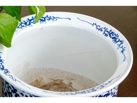 Collection Of Five Chinese Blue And White Porcelain Planters On Underplates