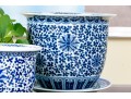 Collection Of Five Chinese Blue And White Porcelain Planters On Underplates