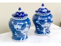 Pair Of Chinese Lidded Blue And White Jars