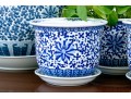 Collection Of Five Chinese Blue And White Porcelain Planters On Underplates
