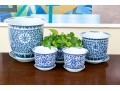 Collection Of Five Chinese Blue And White Porcelain Planters On Underplates