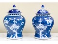 Pair Of Chinese Lidded Blue And White Jars