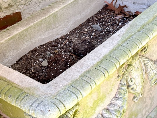 Pair Of Cast Stone Garden Planters