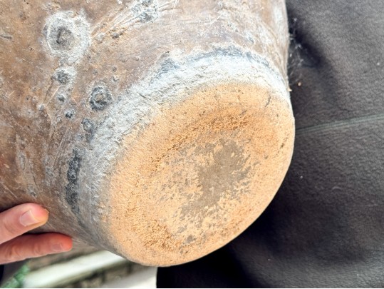 Antique Terracotta Jardiniere