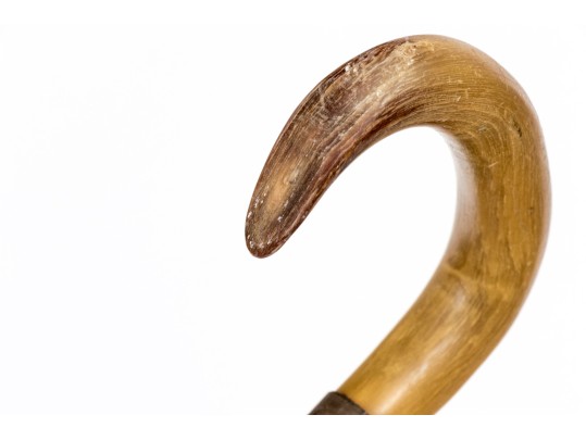 Quality Collection Of Six Semi-Antique Canes