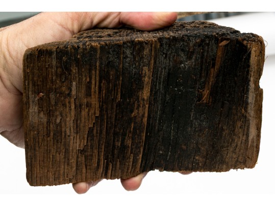 Two Carved And Hand-painted And Carved Shore Birds