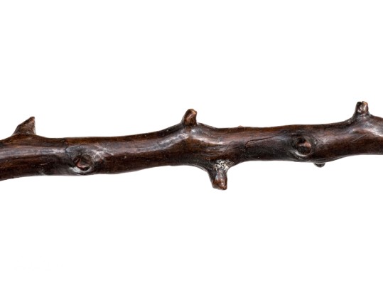 Quality Collection Of Six Semi-Antique Canes