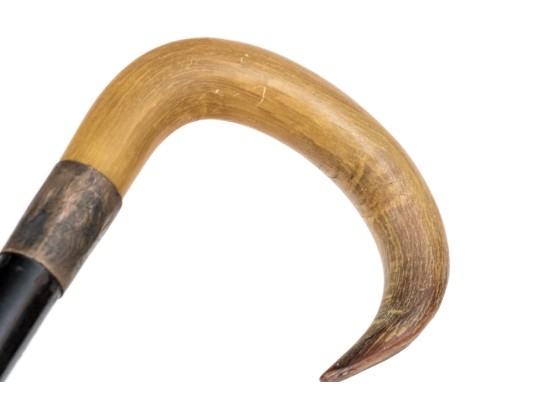 Quality Collection Of Six Semi-Antique Canes