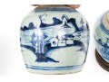 Two 19th C. Chinese Export Ginger Jars
