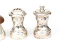 Collection Of 16 Salt And Pepper Casters, Some Sterling