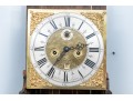 Antique Continental Walnut Tall Case Barley Twist Clock, First Half 19th Century