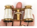 French LeMaire Mother Of Pearl And Brass Opera Glasses, With Leather Case