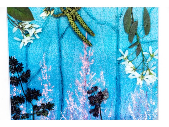 Print After An Original Painting Of Foliage