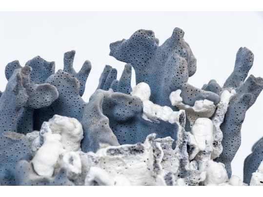 Large Coral Specimen
