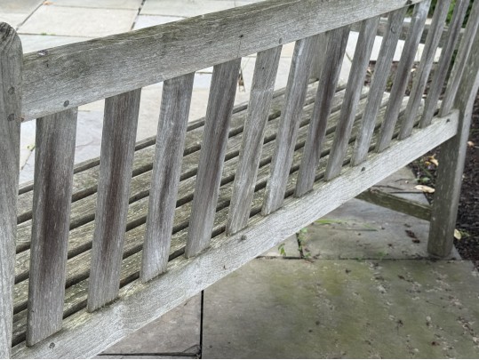 Teak Bench