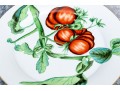 Set Of Six Chelsea House Decorative Ceramic Plates