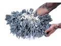 Large Coral Specimen