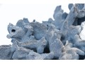 Large Coral Specimen