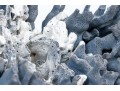 Large Coral Specimen