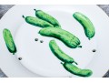 Set Of Six Chelsea House Decorative Ceramic Plates
