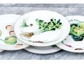 Set Of Six Chelsea House Decorative Ceramic Plates