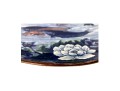 Large Japanese Sun Ceramics Toyo Koi Fish Ceramic Charger, 14 1/4