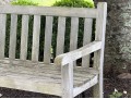Teak Bench