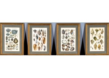 Black Rock Galleries