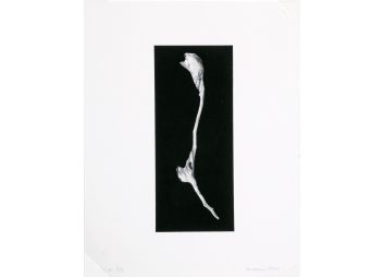 Black Rock Galleries