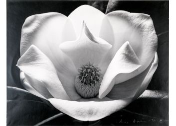 Black Rock Galleries