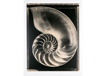 Black Rock Galleries