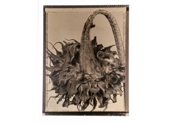 Black Rock Galleries