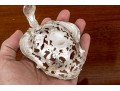 Theodore B. Starr Antique Bonbonnière Sterling Spoon, 8.34 Ozt.