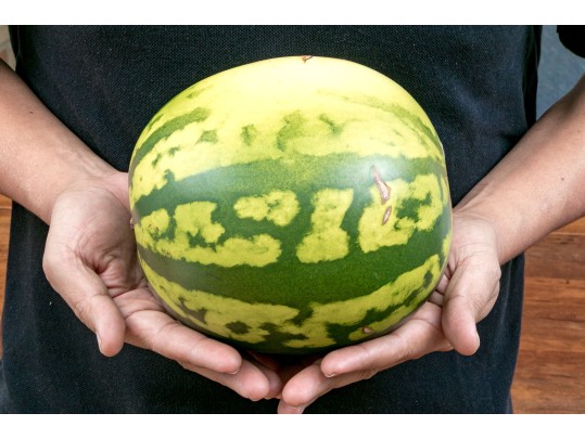 Fabulous Naturalistic Hand-Painted Ceramic Watermelon