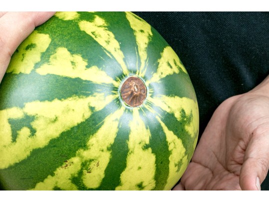 Fabulous Naturalistic Hand-Painted Ceramic Watermelon