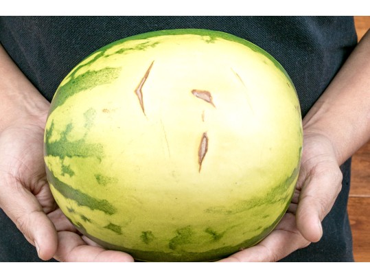 Fabulous Naturalistic Hand-Painted Ceramic Watermelon