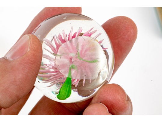 Fabulous Collection Of Ten Artisan Glass, Including Murano And Daum