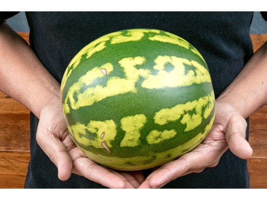 Fabulous Naturalistic Hand-Painted Ceramic Watermelon