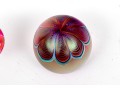 Fabulous Collection Of Ten Artisan Glass, Including Murano And Daum