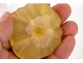 Fabulous Collection Of Ten Artisan Glass, Including Murano And Daum