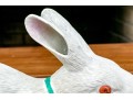 Antique Japanese Biscuit Porcelain Rabbit Okimono