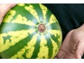Fabulous Naturalistic Hand-Painted Ceramic Watermelon