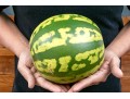 Fabulous Naturalistic Hand-Painted Ceramic Watermelon