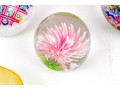 Fabulous Collection Of Ten Artisan Glass, Including Murano And Daum