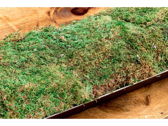 Oversized Moss Centerpiece