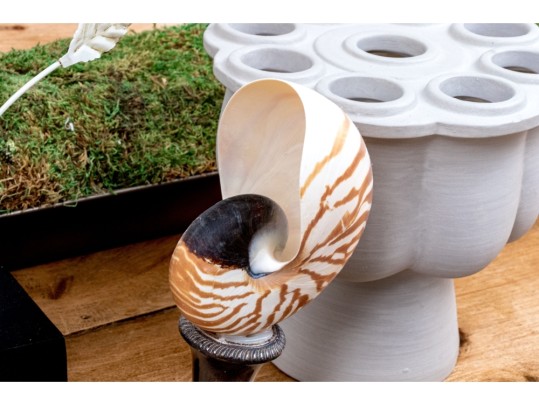 Fabulous Assortment Of Decor