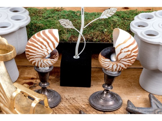 Fabulous Assortment Of Decor