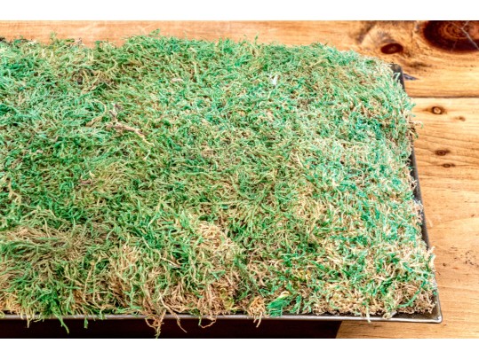 Oversized Moss Centerpiece