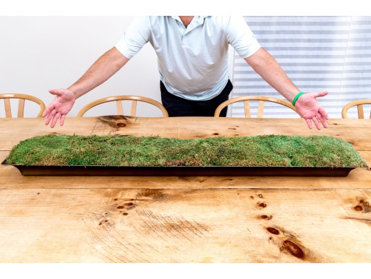 Oversized Moss Centerpiece