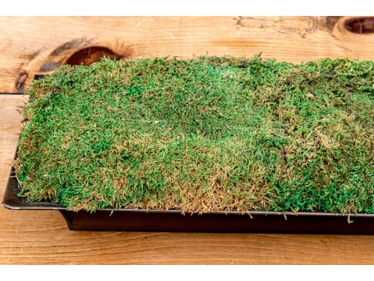 Oversized Moss Centerpiece